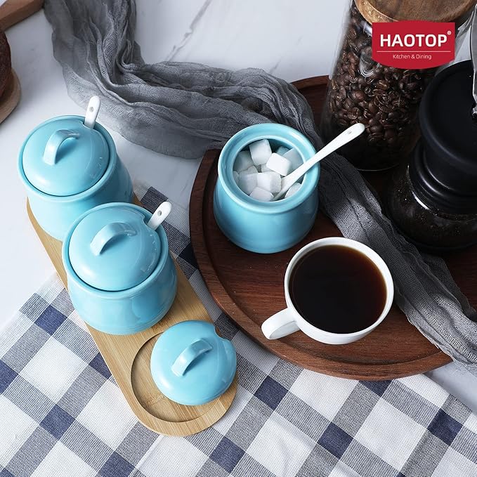 HAOTOP Porcelain Condiment Jar 3 Pack Set with Tray, 12 Ounces Turquoise