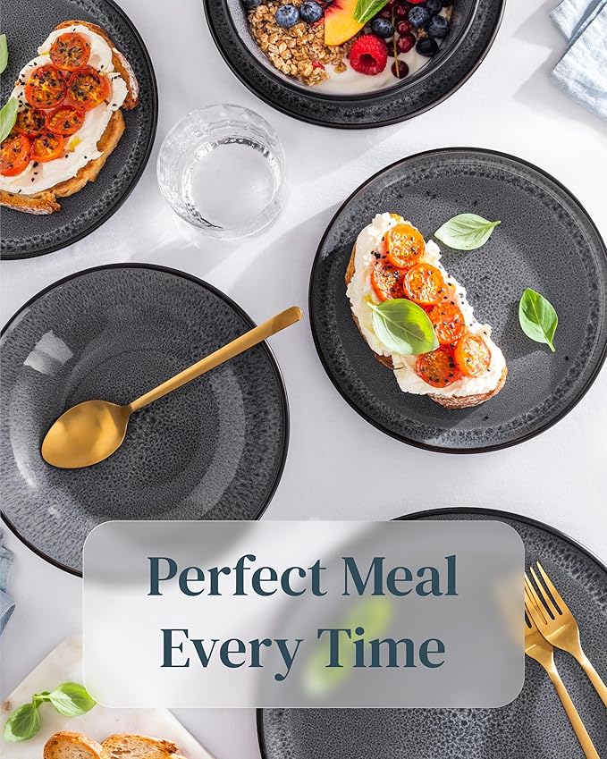Stoneware Dinner Plates Set of 2, Large Dark Gray Tableware, Stylish & Durable, Dishwasher, Microwave & Scratch-Resistant
