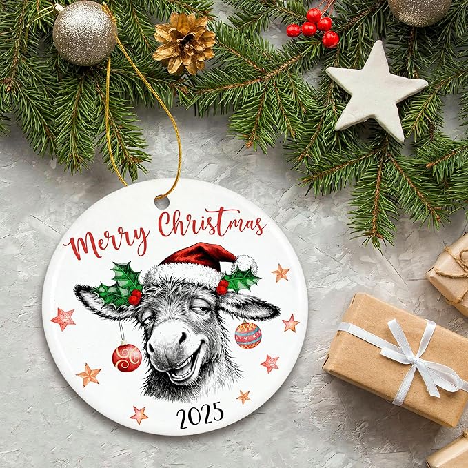 ZAGKOO Donkey Ornaments for Christmas Tree - Funny Donkeys Gifts for Women, Men, Farmers, Donkey Lovers - Funny Ornaments Exchange Ideas, Holiday Presents - Ceramic Xmas Tree Ornament Decoration