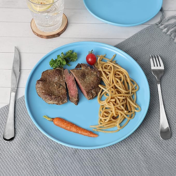 10 Inch Dinner Plates, Matte Blue Ceramic Plates Set of 3, Scratch, Microwave & Dishwasher Safe