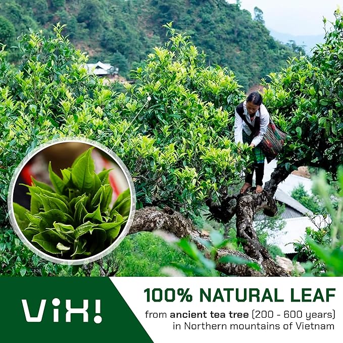 VIXI Black Tea Loose Leaf, (8.00 Oz), Vietnam's Mountain Tea, Bold Flavored, Taste Like Assam Tea, Dried Whole Full Large Leaves, 100% Natural from Ancient Tea Tree