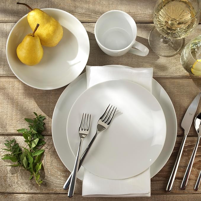 Euro Ceramica Essential Collection Fine Porcelain Classic Coupe 20-Piece Dinnerware and Serveware,4 Pieces 9-Inch Meal Bowl Included, Service for 4, Classic White