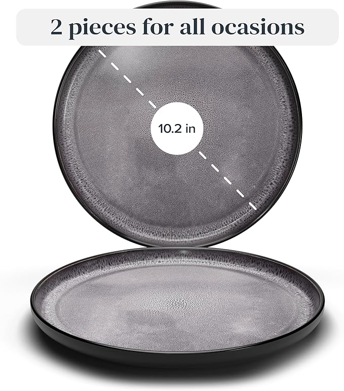 Stoneware Dinner Plates Set of 2, Large Dark Gray Tableware, Stylish & Durable, Dishwasher, Microwave & Scratch-Resistant