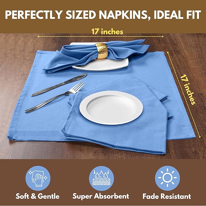 Native Fab Solid Cloth Napkin Set of 4, 100% Cotton, Washable, Reusable Dinner Cloth Napkin 17x17 inches, Table Decor Napkins for Dinner, Events, Sky Blue
