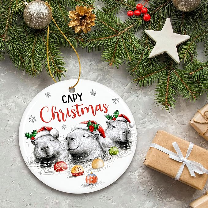 ZAGKOO Capybara Christmas Ornament 2025 - Capybaras Gifts for Capybara Lovers - Funny Animal Lovers Gift Ideas, Christmas Decorations - Holiday Presents, Ceramic Xmas Ornament Exchange