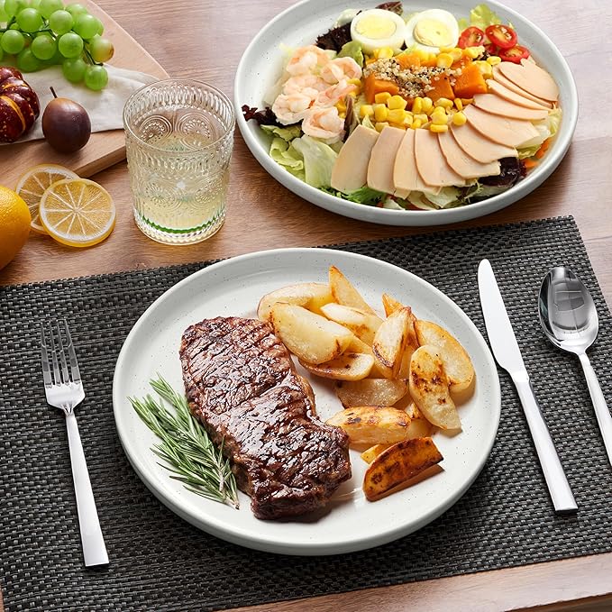 LIANYU Stoneware Dinner Plates Set of 6, 10.5 Inch Large Ceramic Salad Plates for Kitchen, Porcelain Round Serving Dishes Set, Oven, Microwave & Dishwasher Safe, Scratch Resistant, Snowy White