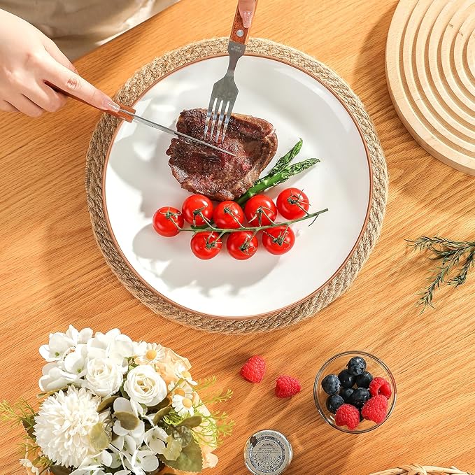 Dinner Plates Set of 6-10 Inch Large Ceramic Plate for Salad, Pasta, Steak - Colorful Modern Serving Dishes - Microwave, Oven and Dishwasher Safe - Assorted Candy Hue