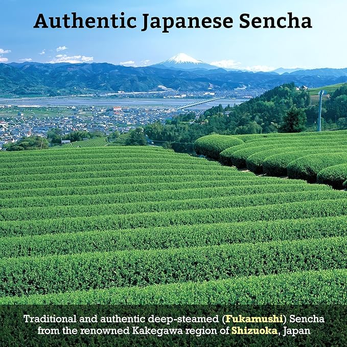 SUGIMOTO TEA Japanese Green Tea Sencha Fukamushi Tea Bags 20 Count Pack of 3