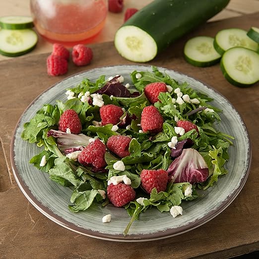 Carlisle FoodService Products Mingle Resuable Plastic Plate Dinner Plate with Pottery Style for Home and Restaurant, Melamine, 9 Inches, Smoke, (Pack of 12)