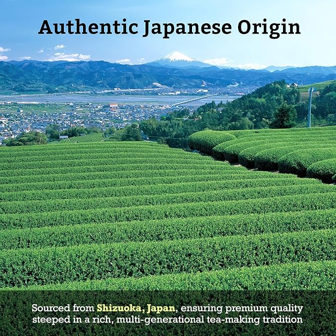 SUGIMOTO TEA Japanese Genmaicha with Matcha Green Tea Bags 20 Count Pack of 3